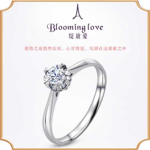埃菲尔印记婚戒 18K金钻石戒指30分1克拉求结婚女绽放爱Ⅶ 商品图0