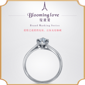 埃菲尔印记婚戒 18K白金钻石戒指结求婚戒指女绽放爱1