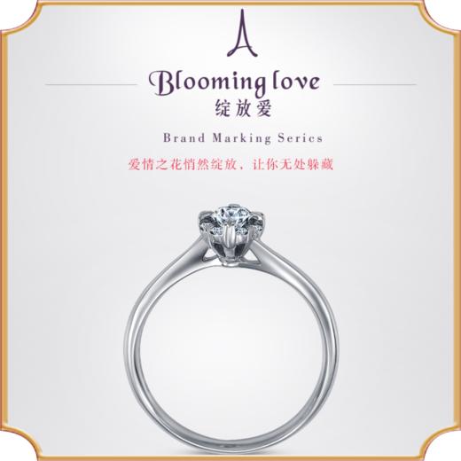 埃菲尔印记婚戒 18K白金钻石戒指结求婚戒指女绽放爱1 商品图0