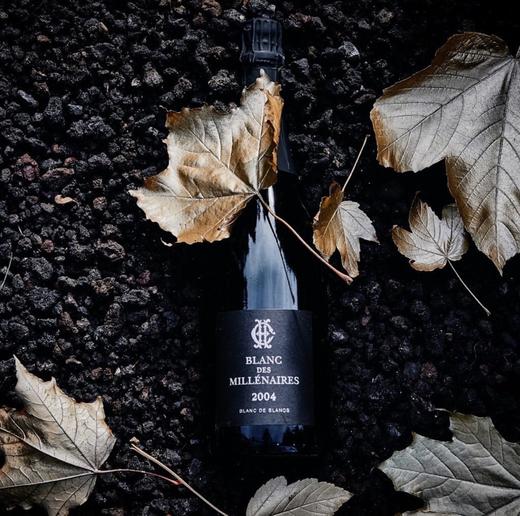 Charles Heidsieck Blanc de Millénaires 2004 查尔斯·海德希克记年白中白香槟2004 商品图2