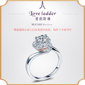 埃菲尔印记婚戒 18K白金结婚钻石戒指女求婚订婚爱的阶梯I
