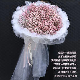 满天星花束/超大熊抱