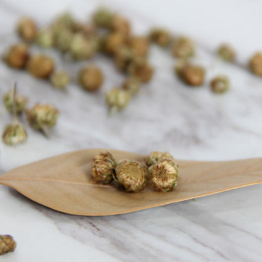 怀府街珍珠菊 商品图4