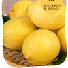 安岳新鲜黄柠檬500g/斤 商品缩略图2