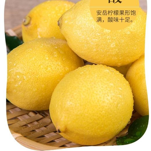 安岳新鲜黄柠檬500g/斤 商品图2