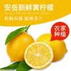 安岳新鲜黄柠檬500g/斤 商品缩略图0