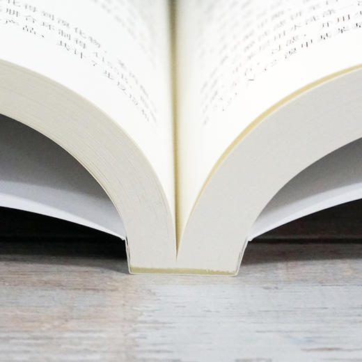 中间体衍生化法与新农药创制 商品图4