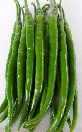 【百汇到家】线椒