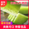 团购-海蓝食刻山东水果萝卜5斤 商品缩略图2