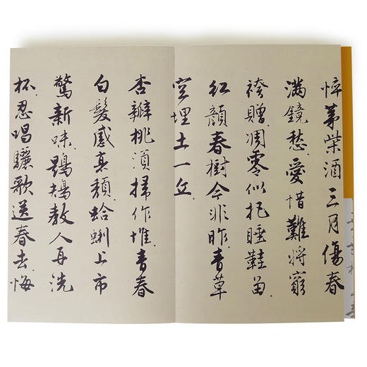 与唐伯虎一起写诗：《落花诗》《饮中八仙歌》（写字课系列） 唐伯虎 著 中信出版社图书 正版书籍 商品图3