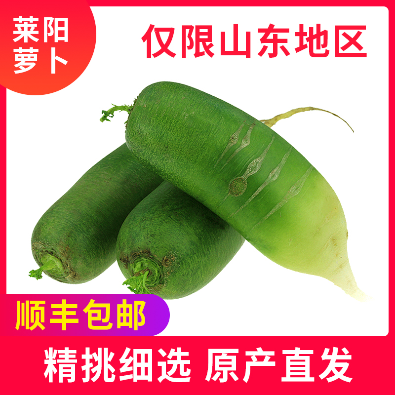 团购-海蓝食刻山东水果萝卜5斤