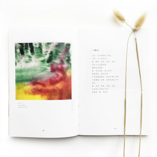 【特惠】心灵的风景 画笔带我走出抑郁 李子玉 著 中信出版社图书 正版书籍 商品图4