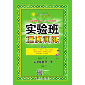 2020春  实验班提优训练  六年级下册  数学  人教版 RMJY