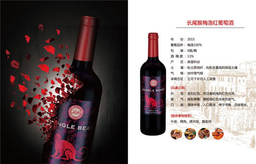 智利TOROD’ORO珍藏红酒走量巨惠促销 商品图9