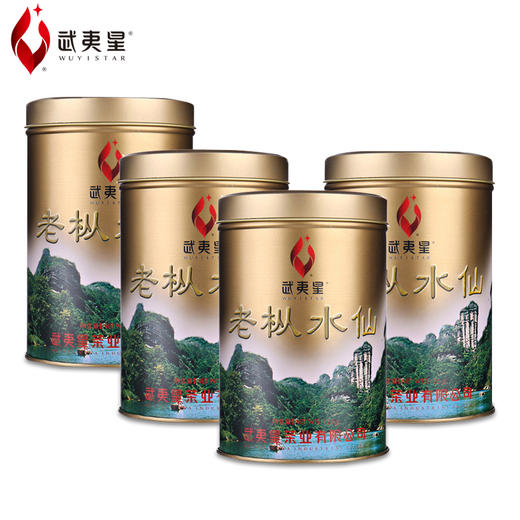 武夷星 老枞水仙 金罐 罐装125g 商品图6