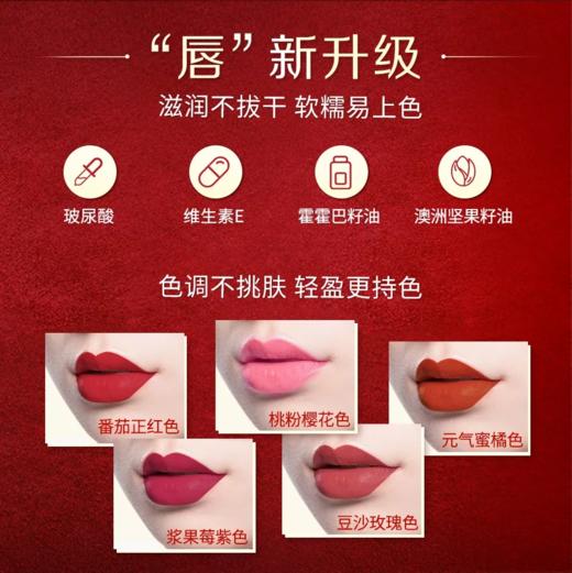雅姿雾感红管唇膏/雾感滋润/哑而不干/百搭色号/保湿护唇/妆效非凡 商品图6