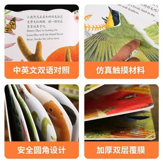 亮丽精美触摸书-全4册-小兔比利/小猫头鹰奥奇/小熊波比/小水獭奥斯卡 商品图1