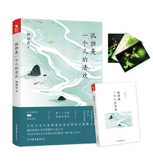 孤独是一个人的清欢 林清玄 著星云大师、余秋雨、毕淑敏、蒋雯丽 ，青简推荐 商品图0