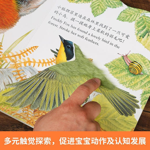 亮丽精美触摸书-全4册-小兔比利/小猫头鹰奥奇/小熊波比/小水獭奥斯卡 商品图3
