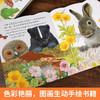 亮丽精美触摸书-全4册-小兔比利/小猫头鹰奥奇/小熊波比/小水獭奥斯卡 商品缩略图4