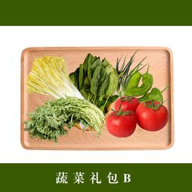 蔬菜套餐B