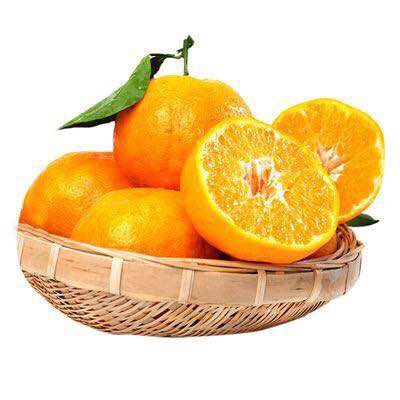 脐橙（生鲜类商品当日取货，过期按取货日价格）