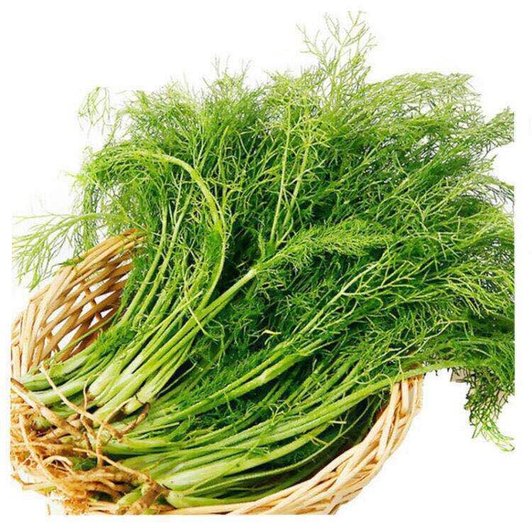 茴香（生鲜类商品当日取货，过期按取货日价格）