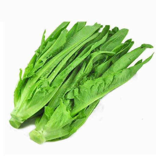 油麦菜（生鲜类商品当日取货，过期按取货日价格） 商品图0