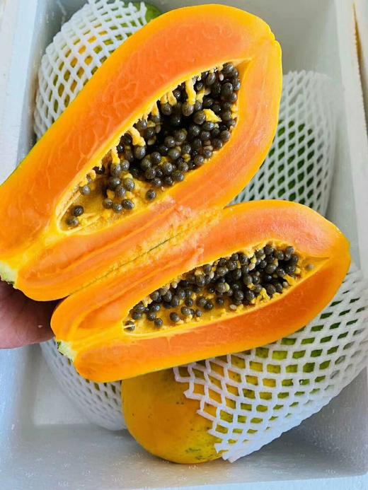 【顺丰包邮】海南树上自然熟海南黄金木瓜基地直邮 商品图0