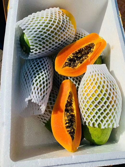 【顺丰包邮】海南树上自然熟海南黄金木瓜基地直邮 商品图2