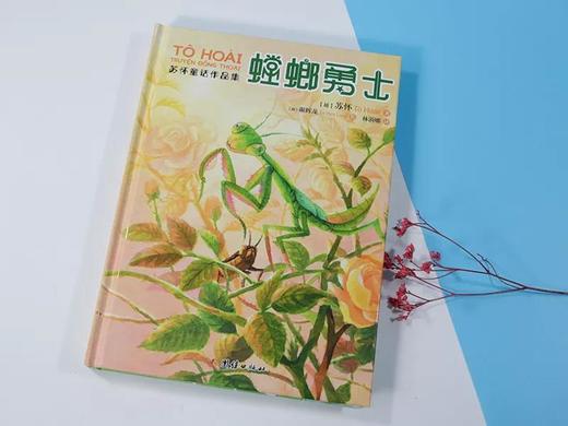苏怀童话作品集3册 蟋蟀冒险记老鼠的婚礼螳螂勇士 儿童小说绘本漫画连环画少儿图书睡前故事书 商品图1
