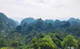 掌握4个要领，喝懂岩茶