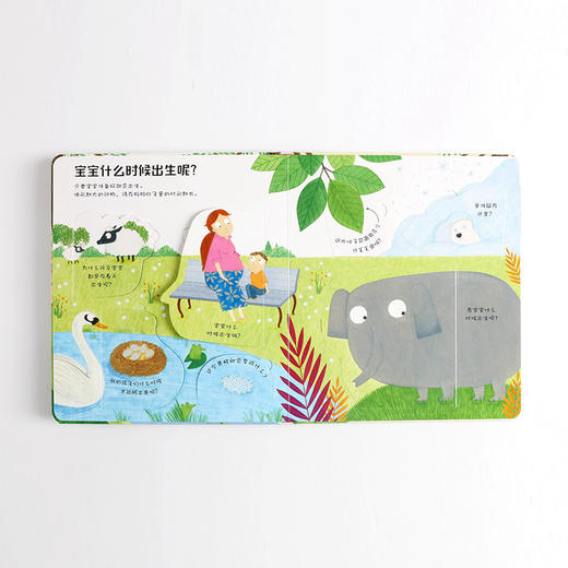 【3-6岁】宝宝从哪里来（我的第一个问题和答案翻翻书）凯蒂戴恩斯 著 中信出版社童书 玩酷科普 正版书籍 商品图3