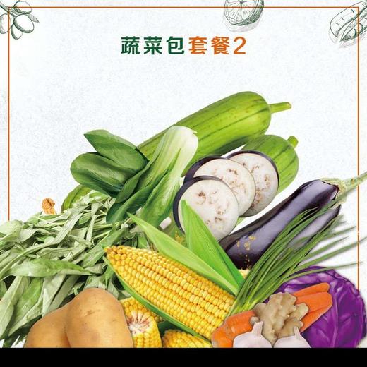 蔬菜10斤 ！海口市及周边城区通通送货上门！ 商品图1