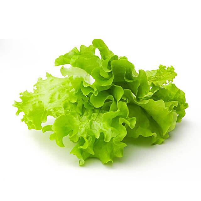 生菜叶（生鲜类商品当日取货，过期按取货日价格）