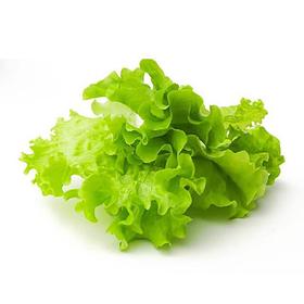 生菜叶（生鲜类商品当日取货，过期按取货日价格）