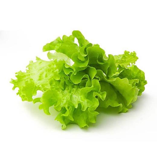 生菜叶（生鲜类商品当日取货，过期按取货日价格） 商品图0