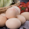 晋龙 可生食鸡蛋30枚装 出口级鲜鸡蛋 品质鸡蛋无公害产品，出口企业，品质好蛋，口感细腻、香嫩Q弹！ 商品缩略图6