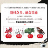 国画300例 写意荷花技法入门教程 商品缩略图2