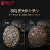 【38女王节预售】澜沧古茶 2020年紫龙玉饼礼盒装 云南普洱茶生茶熟茶 商品缩略图4