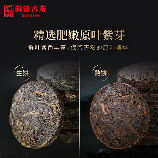 【38女王节预售】澜沧古茶 2020年紫龙玉饼礼盒装 云南普洱茶生茶熟茶 商品图4