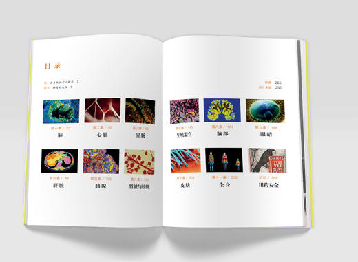 BBC人体如何工作：照顾好你的身体 BBC、DK王牌作者爱丽丝·罗伯茨重磅作品 商品图2