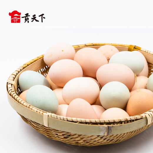 鲜榆次北田农家土鸡蛋10个装 商品图1