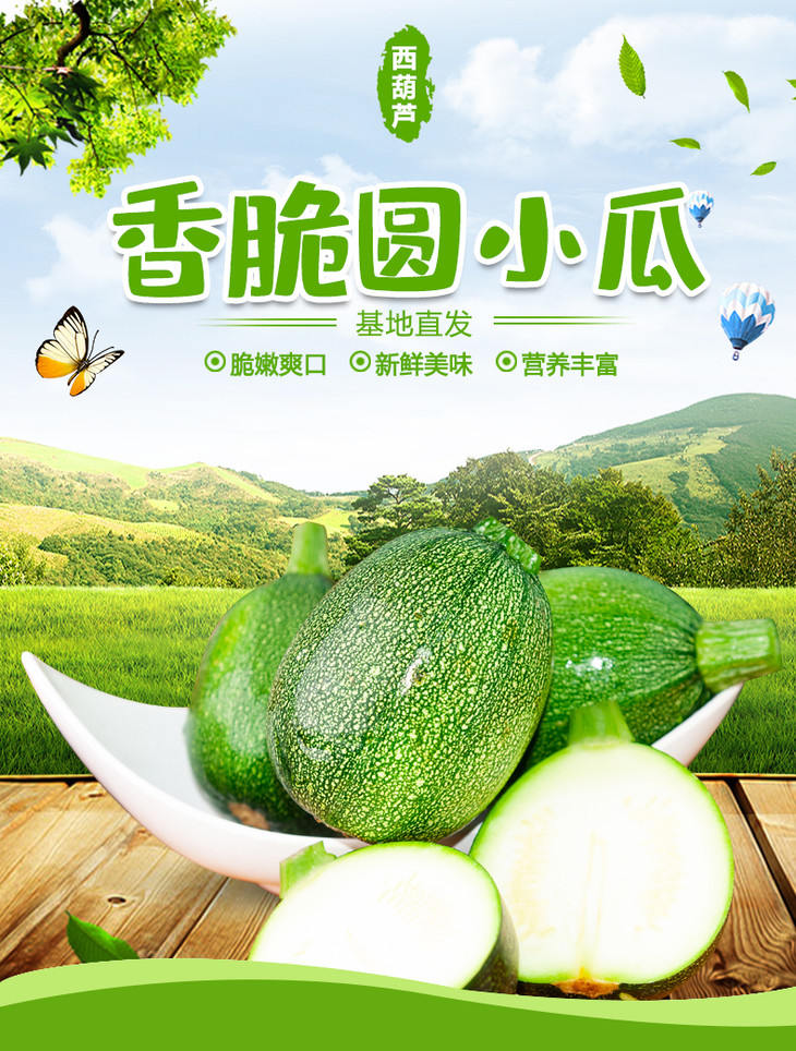 优选新品|云南小圆瓜 口感脆嫩5斤装
