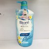 碧柔素肌沐浴露-冲绳蛋花香/瓶 4898888807660 1*6 商品缩略图0