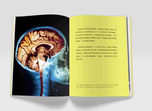 BBC人体如何工作：照顾好你的身体 BBC、DK王牌作者爱丽丝·罗伯茨重磅作品 商品图3