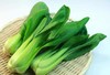 有机青菜/1500克 商品缩略图0