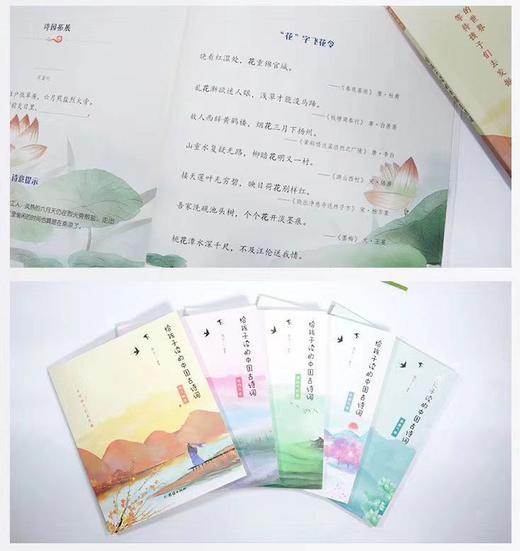 现货  给孩子读的中国古诗词 （全五册）400余首古诗词  小学生课外阅读古诗词大全 商品图4