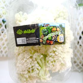 小汤山白菜花
