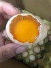 【香糯粘牙的宝宝放心鸡蛋】连续5年权威机构检测（每周2次新鲜到仓） 商品缩略图1